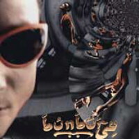 Radical sonora (Edición Estados Unidos)