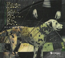 If things were to go wrong (Reedición con 5 temas extra)