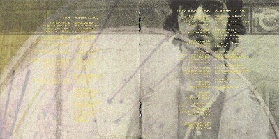 If things were to go wrong (Reedición con 5 temas extra)