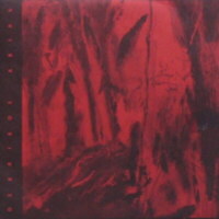 Branquias bajo el agua