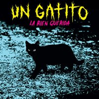 Un gatito