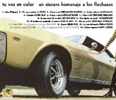 Tu voz en color - Un sincero homenaje a Los Flechazos