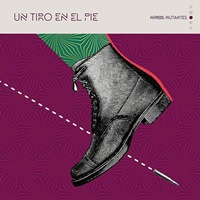 Un tiro en el pie