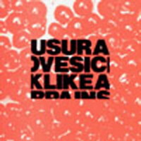 Come what may believe what I say