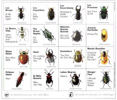 Campos de fresas (1ª edición) - Disfrutando con las canciones de Los Beatles