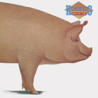 Estamos locos... ¿o qué?