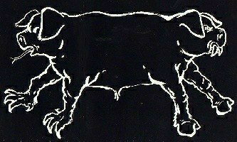 Igual caen los dos (El atardecer del pezuñas) (Banda sonora original)