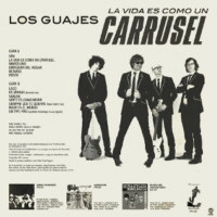 La vida es como un carrusel