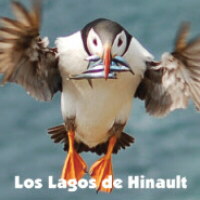 The Sunbathers & Los Lagos De Hinault