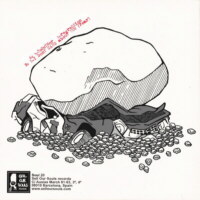 Rocks