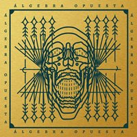 Álgebra opuesta