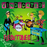 Vindicated! A Fleshtones tribute